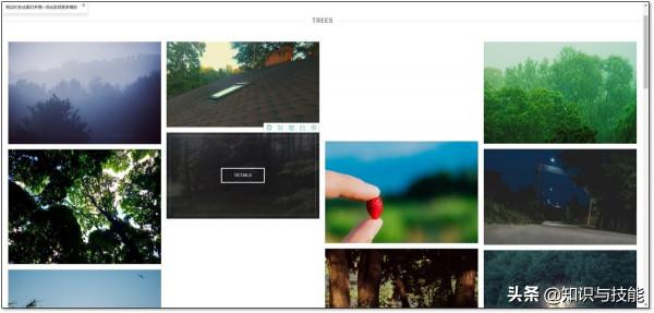 最近發現7款相見恨晚的學習網站,實用且免費,建議收藏 最近發現7款相見恨晚的學習網站,實用且免費,建議收藏
