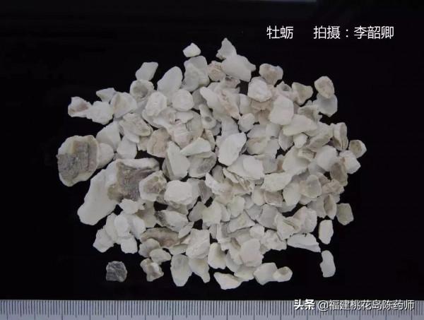 分享李紹卿老師拍攝的三十四種動物藥