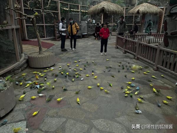 京城遛娃好去處，價格、硬體、軟體彙總，冬季遛娃好輕鬆