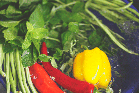中國人吃出了一半的消化道腫瘤!最佳解決方案有了 中國人吃出了一半的消化道腫瘤!最佳解決方案有了