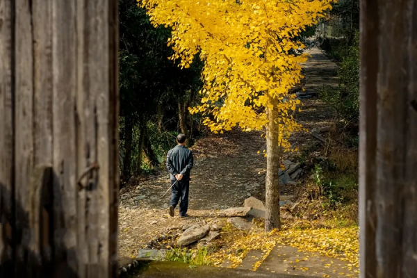 你姓什麼，你的根就從哪兒來