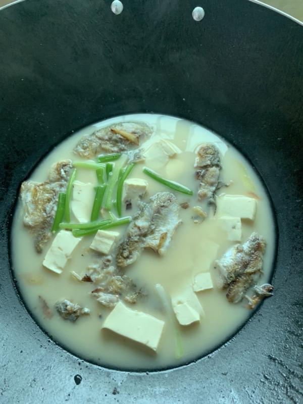 正確掌握野釣鯽魚的技巧，助你爆護