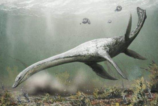 青海湖“湖神顯靈”了？大量湖水被雷雲吸上天，到底發生什麼事？