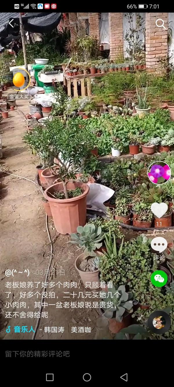 生活隨筆記,快樂每一天 生活隨筆記,快樂每一天