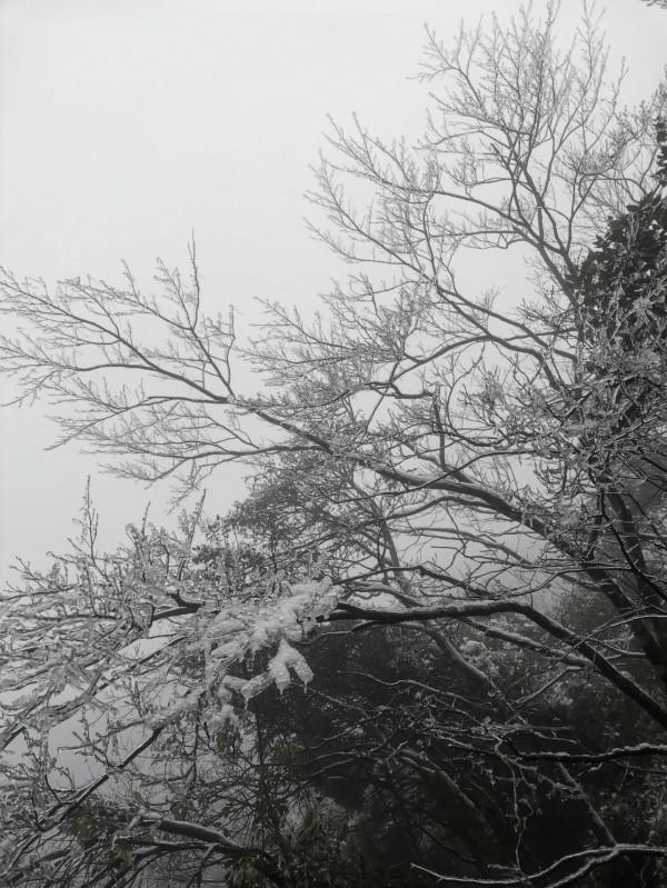 雪後登上饒靈山