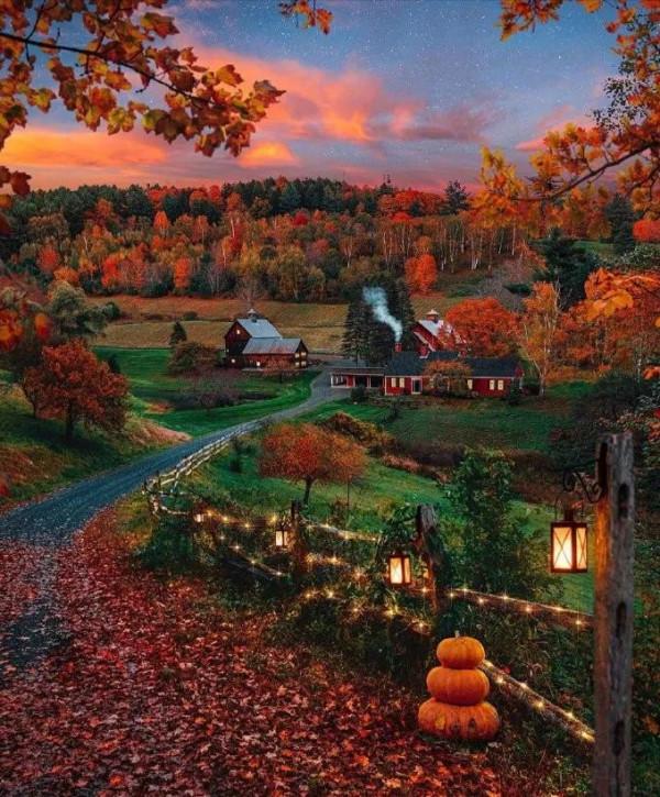 佛蒙特森林風光