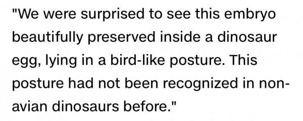 讀CNN學英語：恐龍胚胎化石