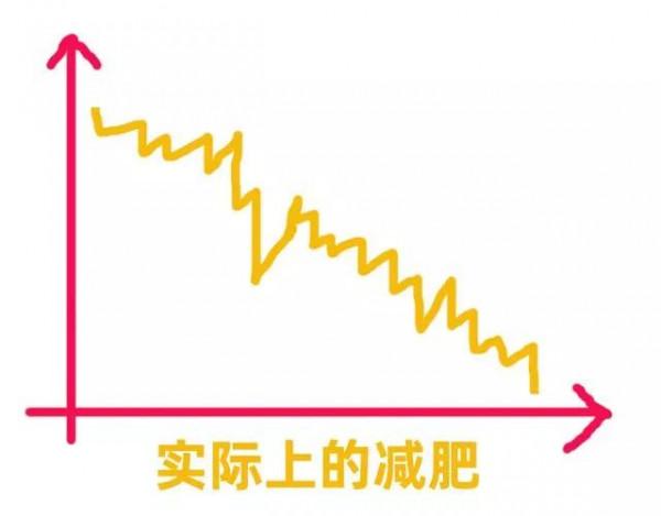 關於減肥，我有這些知識可以分享（沒有廣告）