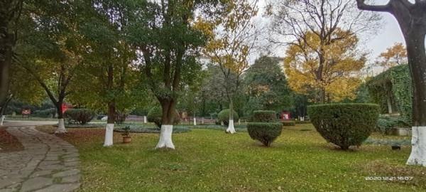 冬天的龍潭公園景色迷人