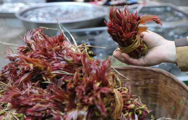 提醒大家：這4種蔬菜吃前一定要焯水，否則會引起結石