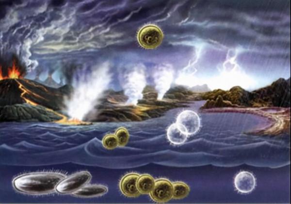 地球上原本沒有人，那麼第一個人是如何出現的？