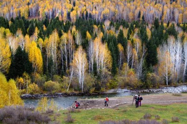 分享大美新疆 景色怡人 美美美