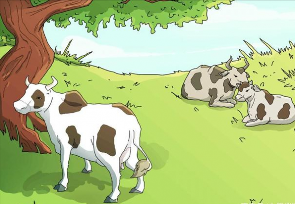 暗黑2之奶牛關終結者,最強清理牛場的角色流派推薦,畢業走捷徑 暗黑2之奶牛關終結者,最強清理牛場的角色流派推薦,畢業走捷徑