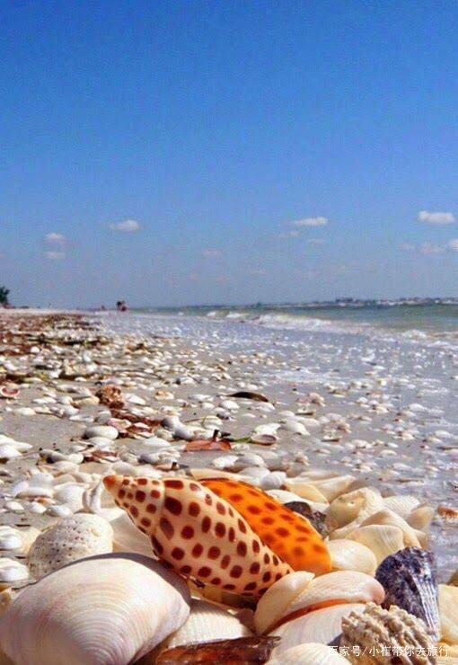 亞丹漢姆45公里處，貝殼堆積如山，蔓延整整110公里，被稱最迷人