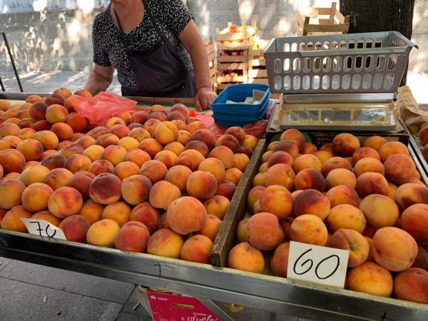 2019暑假塞爾維亞、波黑之旅（2）