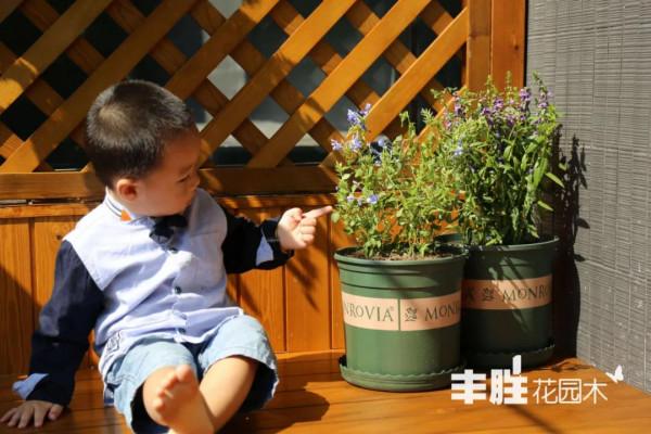 露臺為什麼要首選戶外木地板？