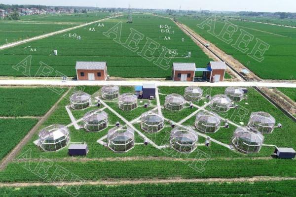 臭氧汙染還會導致作物減產！南信大教授團隊提出改進措施，並在《Nature》子刊發表