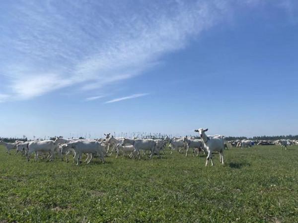 文化大使亞丁&OpenCurlyDoubleQuote;種草&rdquo;傳奇故事