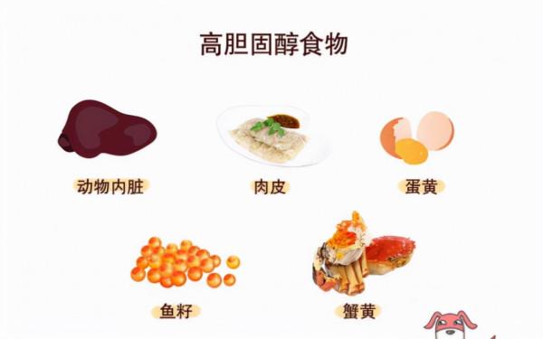 血脂康降脂效果與他汀相當，保護血管，改善胰島素抵抗