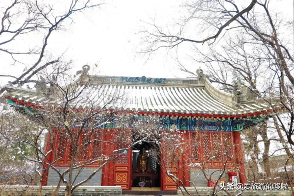 看展喝咖啡、賞壁畫、聽古樂…這座城市的寺廟也太厲害了吧