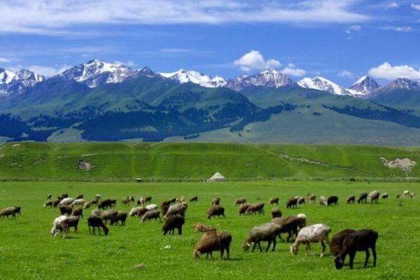 分享大美新疆 景色怡人 美美美