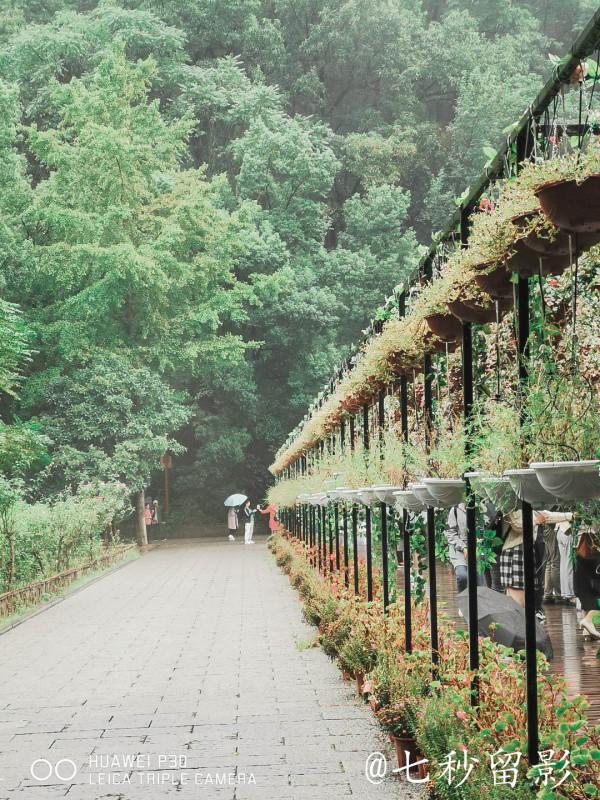 國家5A景區古隆中 國家5A景區古隆中
