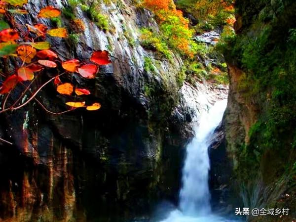 欒川的大景區都免費了，趁著秋日去欣賞紅葉，門票錢能省下不少