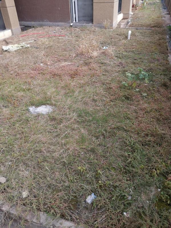 平臺栽點花，鄰居們會有想法嗎？