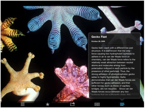 最好的幼兒園學習網站（推薦）