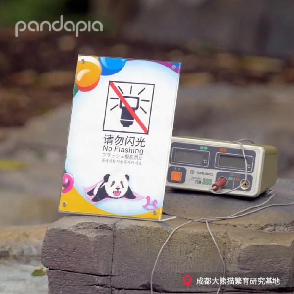 今天，來說說如何給大熊貓“充電”