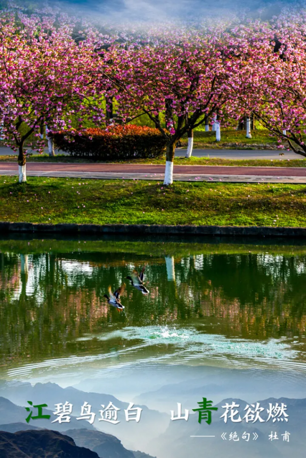 超驚豔！唐詩裡的&OpenCurlyDoubleQuote;青&rdquo; &OpenCurlyDoubleQuote;白&rdquo; &OpenCurlyDoubleQuote;江&rdquo;