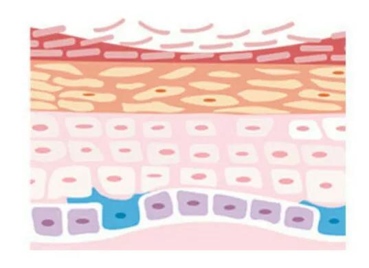 冬季挑選保溼乳液和麵霜，很有講究！且聽美妝店老闆娘詳細講解