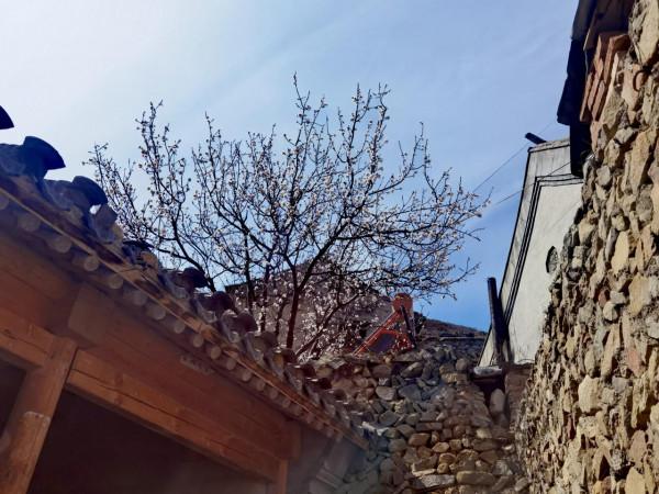 靈水舉人村，爸爸去哪兒拍攝地