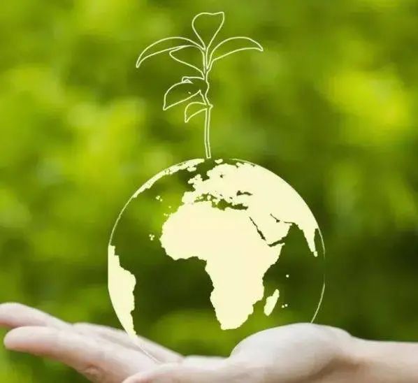 能源區塊鏈研究｜GreenTrust Token公司：企業植樹能否真正抵消碳排放？