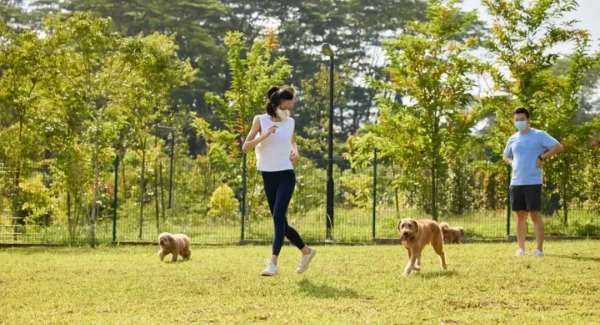 戶外徒步新去處！新加坡新開的7個公園你都遛過了沒？