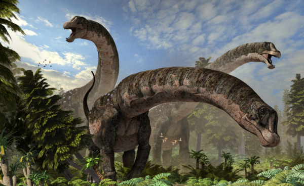 人類長1個腦子都如此聰明，恐龍則長2個，難道恐龍比人更聰明？