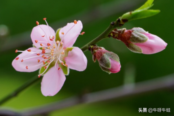 在接下來的幾天裡，3個星座的運氣都很好，有助於擺脫困境