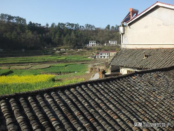 農村宅基地盤活，老宅閒宅“統一”處理！這3種超面積可登記確權