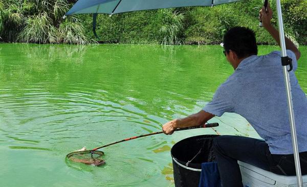 提前下魚護導致漁獲慘淡之謎,被漁具店老闆詮釋了,分享給大家 提前下魚護導致漁獲慘淡之謎,被漁具店老闆詮釋了,分享給大家