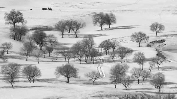 12月去哪玩?這8個美如畫卷的小眾打卡地,一到冬天就美成了仙境 12月去哪玩?這8個美如畫卷的小眾打卡地,一到冬天就美成了仙境
