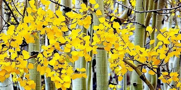 哪些壞習慣會加速衰老（原創）