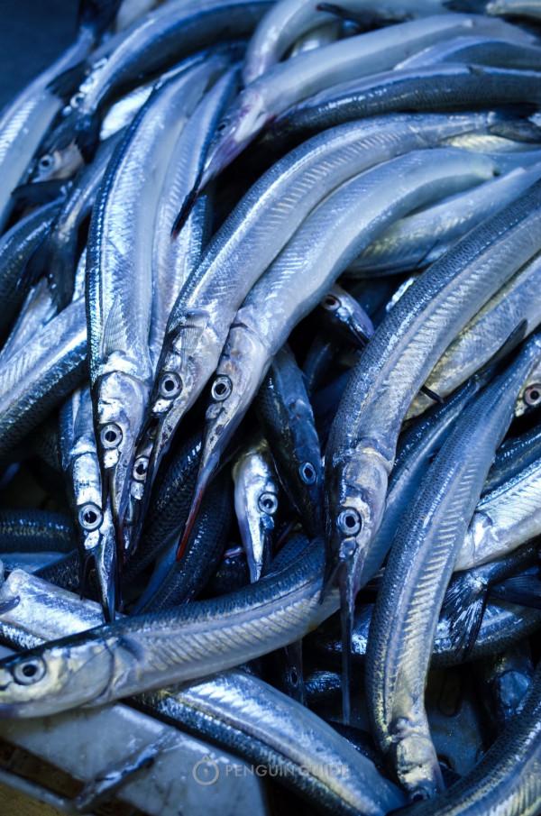 全國秋天神仙菜市場大賞 全國秋天神仙菜市場大賞