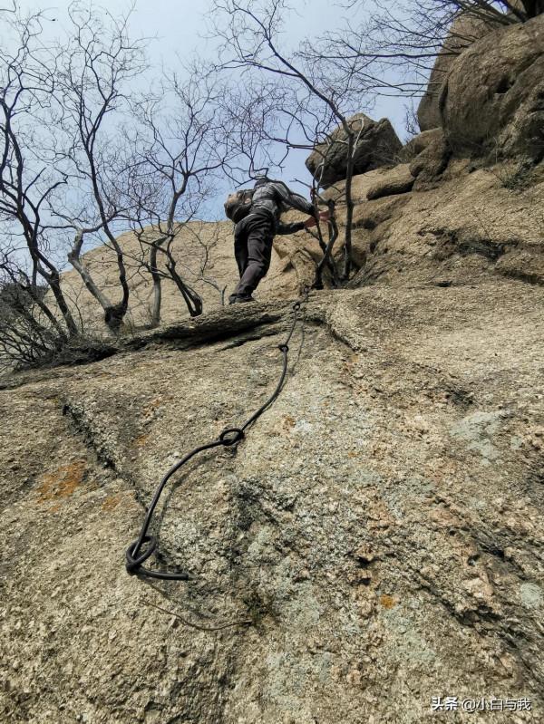 春回古長城，夢在杏花海。望殘垣斷壁，聽虎嘯聲威