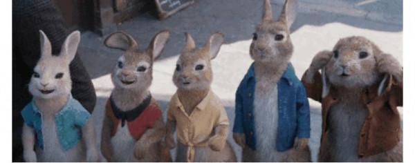 Rabbit's foot可不是“兔子腳”,真正的意思你想不到 Rabbit's foot可不是“兔子腳”,真正的意思你想不到