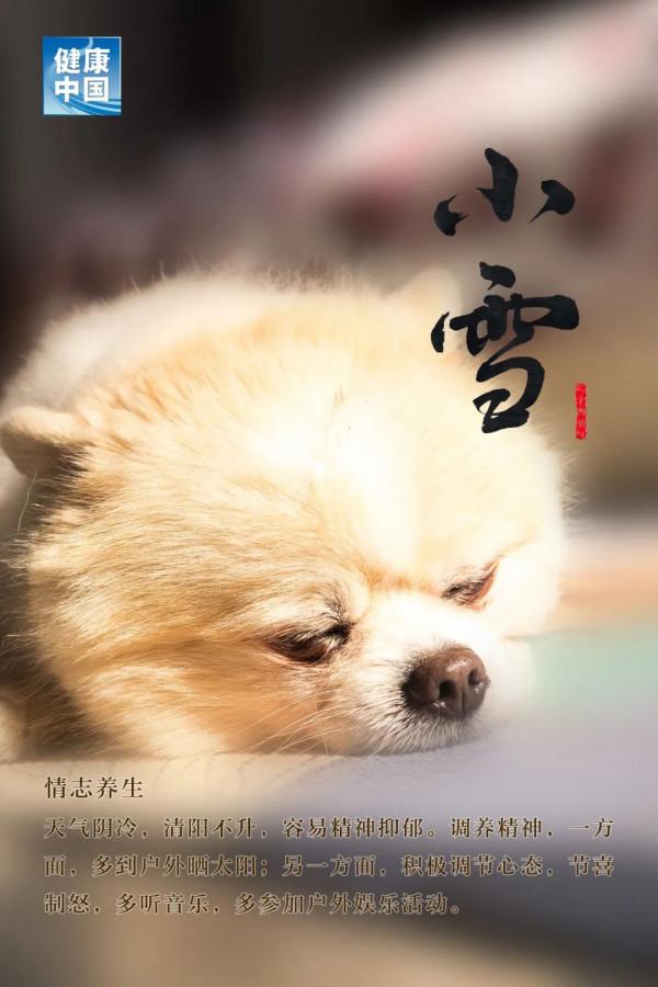 今日小雪，天愈冷，寒更甚！養生五要素，健康過好冬