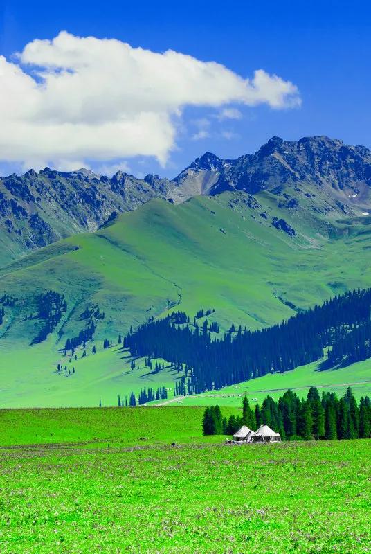 新疆那拉提草原風光 新疆那拉提草原風光