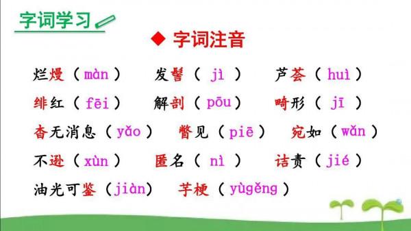 八年級語文上冊第六課《藤野先生》課文筆記,預習的好幫手 八年級語文上冊第六課《藤野先生》課文筆記,預習的好幫手