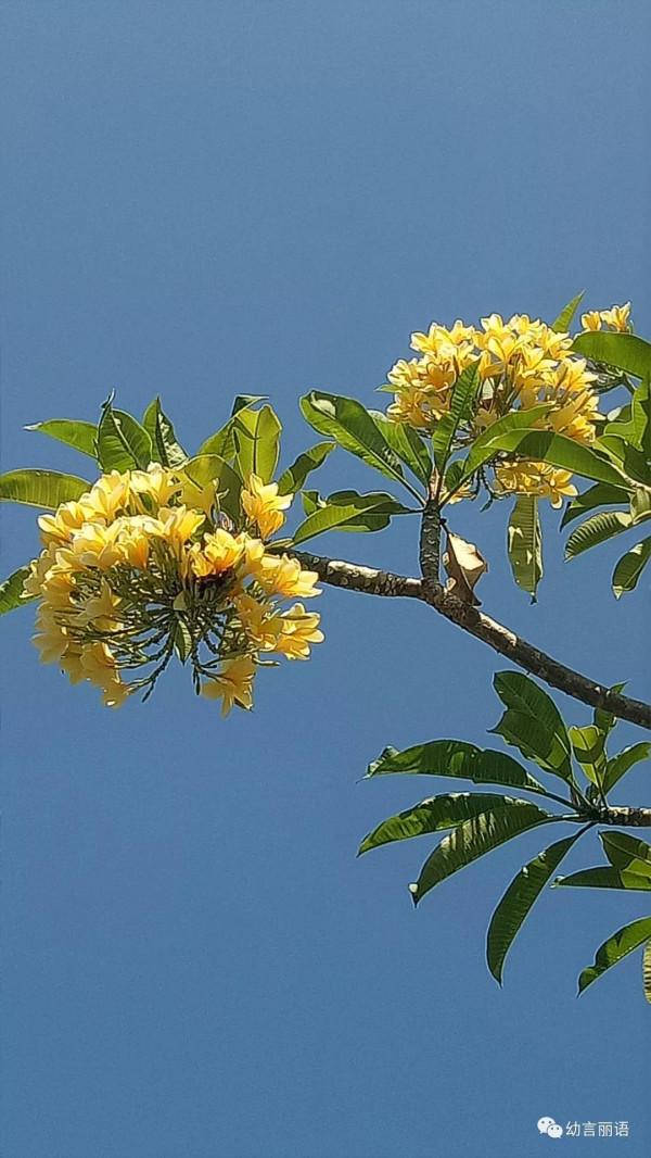 巴厘島旅遊之聽導遊講巴厘島 巴厘島旅遊之聽導遊講巴厘島