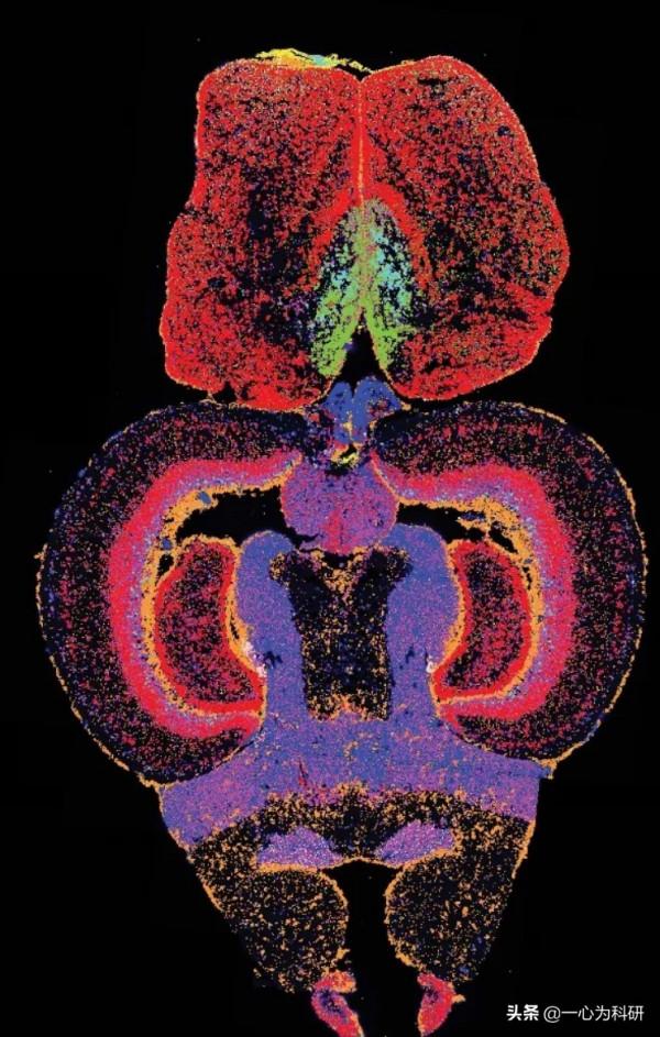 《科學家》雜誌揭曉2021年十大創新科技產品