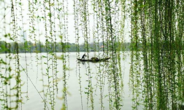 談談格律詩的章法、句法和字法,這裡面有規律可循嗎? 談談格律詩的章法、句法和字法,這裡面有規律可循嗎?